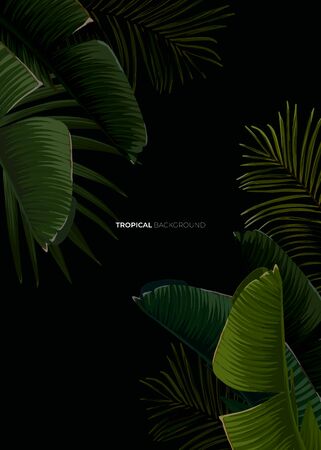 Dark tropical summer design with banana palm leaves, glowing frame and space for text. Vector flyer, banner or card template. Summer vector background.のイラスト素材