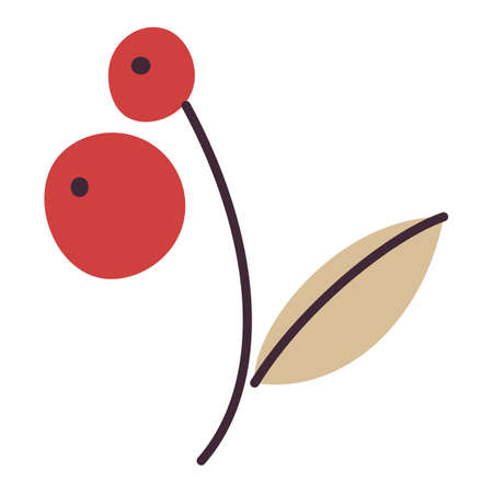 Flat cartoon berryのイラスト素材