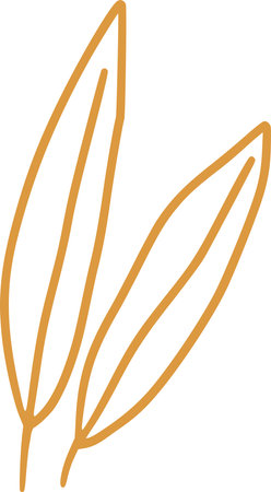 Vector hand drawn organic sketchy leafのイラスト素材