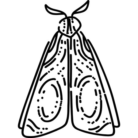 This artwork shows a detailed moth with intricate patterns in a minimalist linear style, making it uniqueのイラスト素材