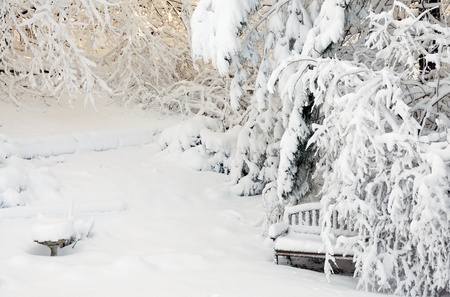 Photograph of snow-covered garden including birdbath and garden benchの写真素材