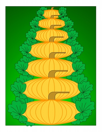 A stylistic row of growing pumpkins and leavesの写真素材