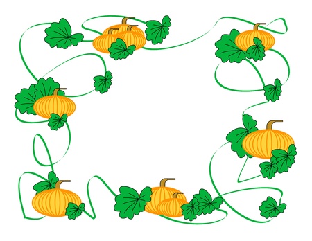 A border of pumpkins, vines, and leavesの写真素材