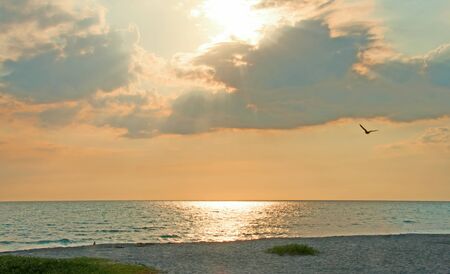 A peaceful photograph of the afternoon sun shining brightly from behind the clouds on the beach in southwest Florida as a pelican floats byの写真素材