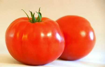 A photograph of two ripe, red, Bonny Best Heirloom Tomatoes - just-picked, sweet, and juicy.の写真素材