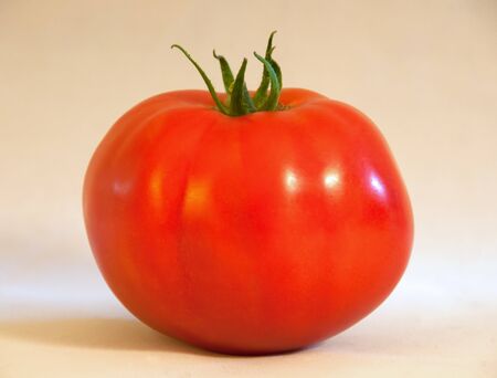 A photograph of a ripe, red, Bonny Best Heirloom Tomato - just-picked, sweet, and juicy.の写真素材