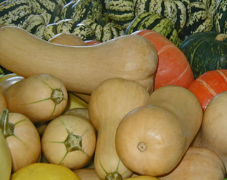 A pile of various types of squash.の写真素材