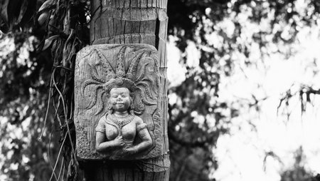 An ancient carving is fixed on the tree in Black & White.