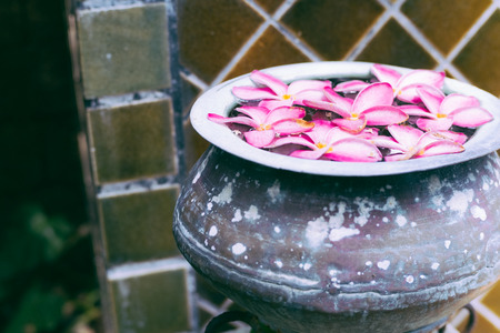 Close-up pink flowers floating in old basin.の写真素材