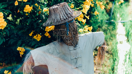 A Scarecrow is standing in front of flower and ditch.の写真素材