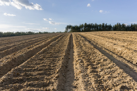 Furrows in plowed field in hilly terrain in spring  landscapeの写真素材