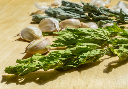 Dried lovage mint and cloves of garlic on wooden backgroundの写真素材