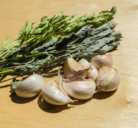 Cloves of garlic lovage mint and dried on wooden backgroundの写真素材