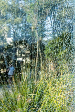 Park view  through the broken glass. Broken glass texture. Abstract backgroundの写真素材