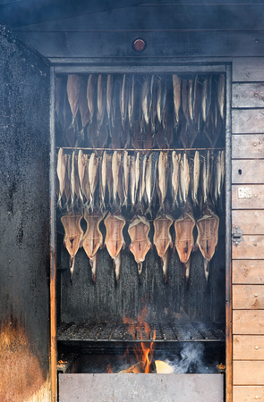 Freshly caught sea fish is smoked in smokehouse.の写真素材