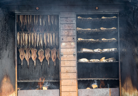 Freshly caught sea fish is smoked in smokehouse.の写真素材