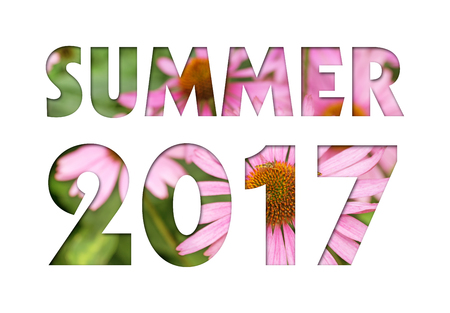 Summer 2017 caption from pink flowers photo on the white background for calendar, flyer, poster, postcard, etc. Summer colors.の写真素材