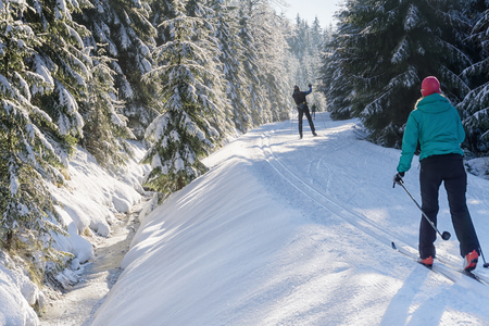 Cross-country skiers running a groomed ski trail. Road in mountains at winter in sunny day. Trees covered with hoarfrost illuminated by the sun. Jizera Mountains, Czech Republic.の写真素材