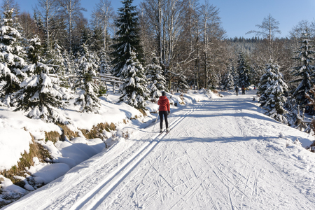Single female cross-country skier running a groomed ski trail. Road in mountains at winter in sunny day. Trees covered with hoarfrost illuminated by the sun. Jizera Mountains, Czech Republic.の写真素材