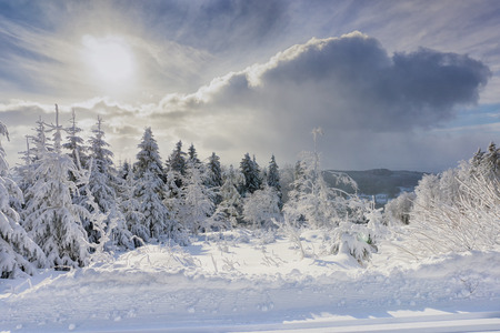 Winter landscape, trees in mountains covered with hoarfrost in sunny day, dramatic clouds in the skyの写真素材