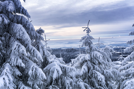 Winter landscape, trees in mountains covered with hoarfrost in sunny day, dramatic clouds in the skyの写真素材