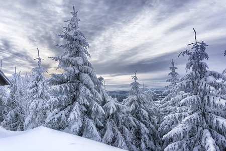 Winter landscape, trees in mountains covered with hoarfrost in sunny day, dramatic clouds in the skyの写真素材