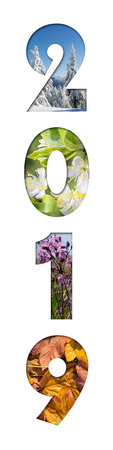Number 2019 from four seasons photos for calendar, flyer, poster, postcard, banner. Vertical image.の写真素材