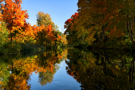 Bright autumn trees with their reflection in waterの写真素材