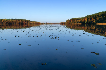 Forest and lake landscape in autumn. Falling leaves on the lake's surface. The blue sky is reflected in the water.の写真素材