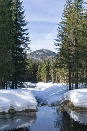 Winter mountain landscape with stream surroundings of Jakuszyce, Poland. View on Bukovec  peak in Jizera Mountains.の写真素材