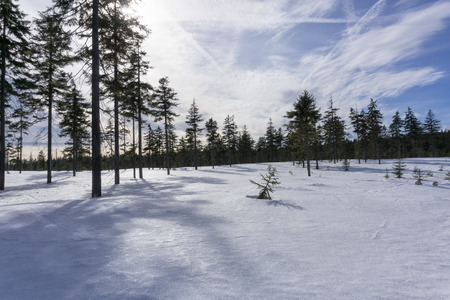 Winter mountain landscape with blue sky in sunny day. Jizera Mountains, surroundings of Jakuszyce, Poland.の写真素材