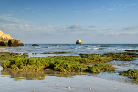 Rock formations on a Praia da Rocha in Portimao, Algarve region, Portugal. Late afternoon of sunny summer day.の写真素材