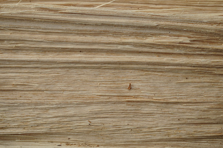 Wood breakthrough texture. Natural material texture or background.の写真素材