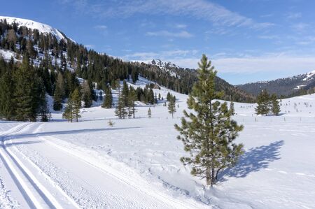 Winter landscape with a road with a cross-country trail in the Schonfeld area, Salzburger Lungau, Austria, Europe. Winter and Christmas background.の写真素材