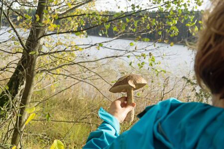 Autumn mushrooming in the forest. A woman holding a mushroom (birch bolete) in her hand.の写真素材