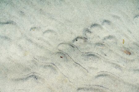 Bright wavy wet sand at the bottom of the lake. Abstract background or texture .の写真素材