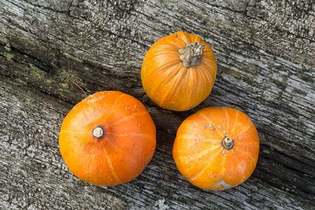 Autumn orange pumpkins on rustic wooden table wiev from above. Organic food and healthy food. Thanksgiving and Halloween concept.の写真素材
