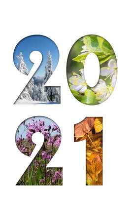 Number 2021 from four seasons photos for calendar, flyer, poster, postcard, banner. Vertical image.の写真素材
