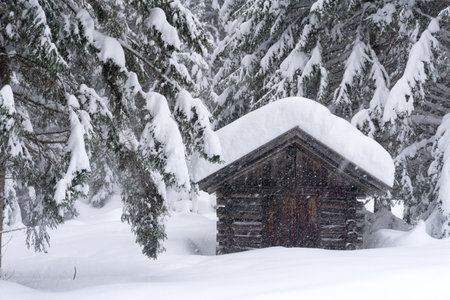 Winter landscape with wooden chalet by the road at the edge of the forest. Fir forest covered with snow. Alps, Tirol, Austria, Europe.の写真素材