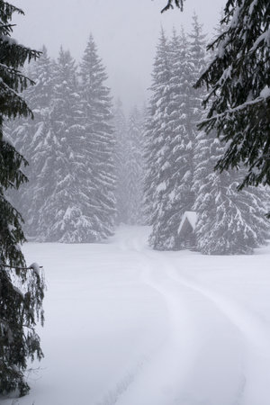 Winter landscape with wooden chalet by the road at the edge of the forest. Fir forest covered with snow. Alps, Tirol, Austria, Europe. Vertical image.の写真素材