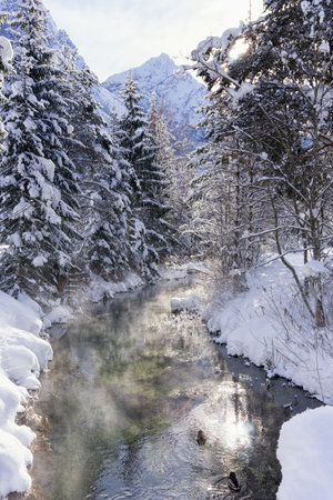 Winter mountain landscape with river or stream. Trees covered with snow and hoarfrost, ducks on water, reflection of the sun in the water. Sunny winter day.の写真素材