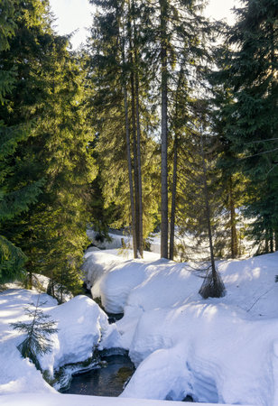 Stream flowing through a thick cover of snow in the Jizera Mountains, Czech Republic, Europe. Winter mountain landscape.の写真素材