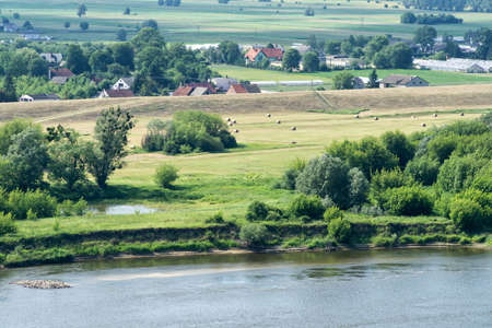 Summer rural landscape with Vistula River near Grudziadz. Riverside meadows with flood embankments. Poland, Europe.の写真素材