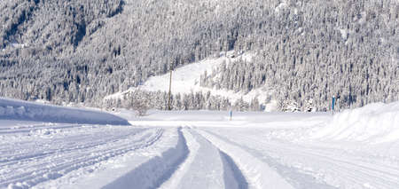 Cross-country skiing track close up, selective focus. Winter in Ehrwald Valley, Tirol, Austria.の写真素材