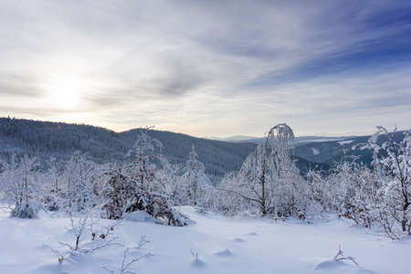 Winter mountain landscape, trees covered with hoarfrost and snow mountains and dramatic clouds in the sky. Kremnica Mountains, Slovakia.の写真素材