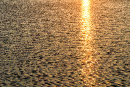 The glow of the setting Sun's light in the undulating surface of the lake. Selective focus. Golden natural or abstract background.の写真素材