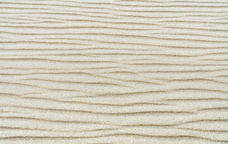 Ripples of light sand. Natural, abstract beige background. Sand texture. Top view.