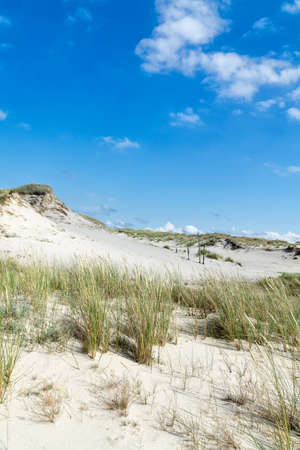 Sandy dunes overgrown by clumps of grass and blue sky with white clouds in sunny summer day. Lacka dune in Slowinski National Park in Poland, a miracle of nature. Traveling dune.の写真素材