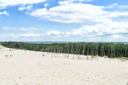 View on Lebsko Lake from Lacka dune in Slowinski National Park in Poland. Traveling dune in sunny summer day. Sandy beach and and blue sky with white clouds.の写真素材
