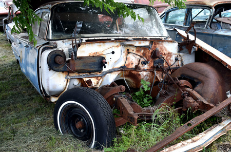 Old car graveyard with weeds growing through frame.の写真素材